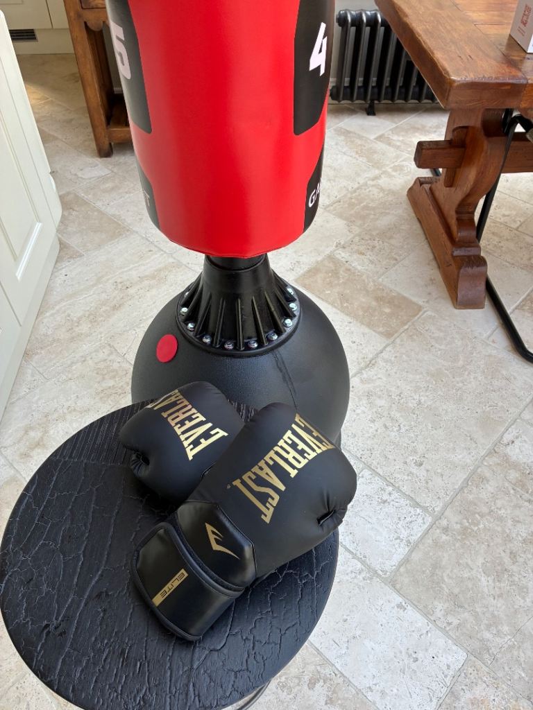Free standing punch bag and boxing gloves