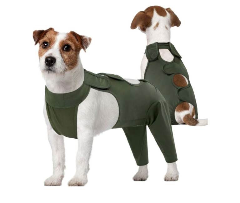 dog recovery suit