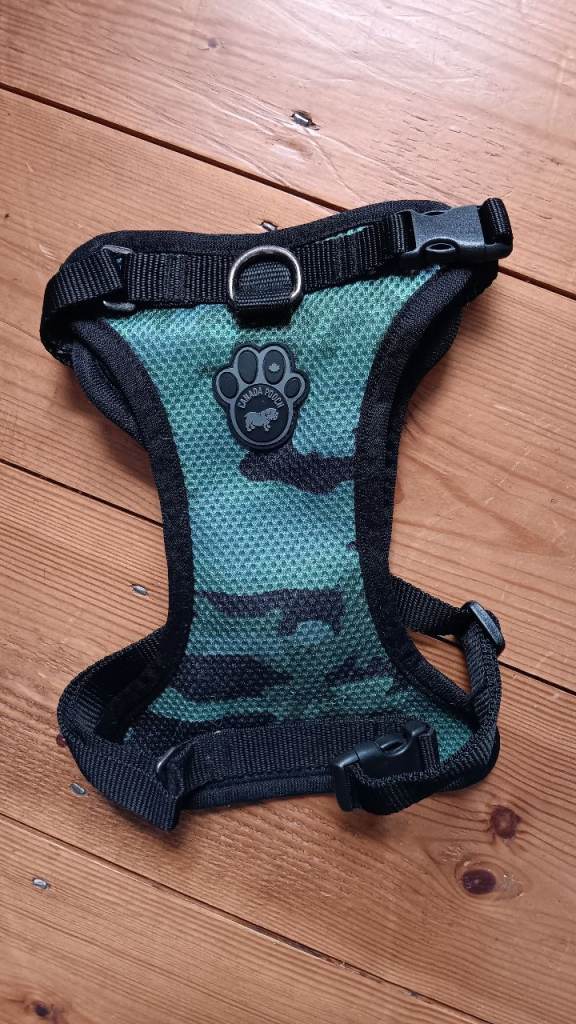Harness for small dog