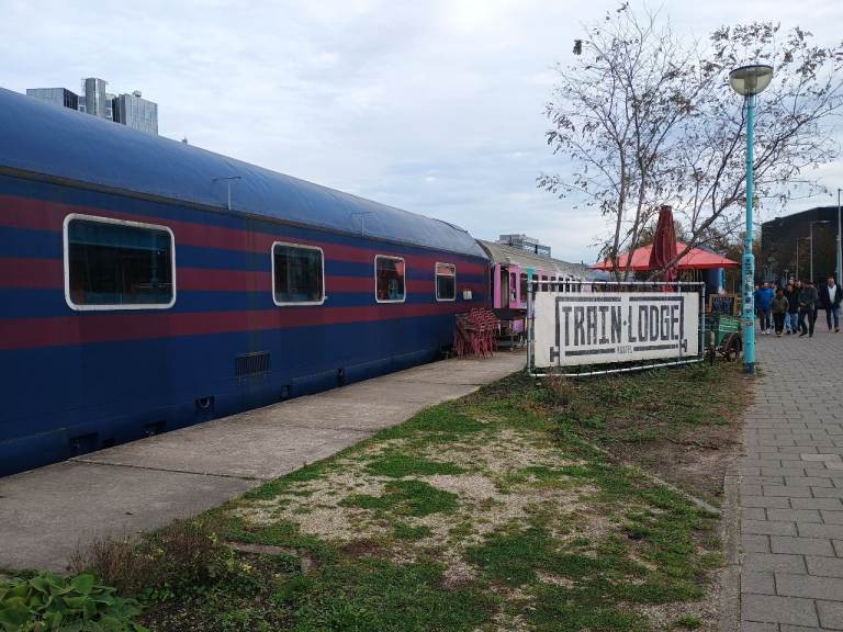 Senior lady looking for travel companion