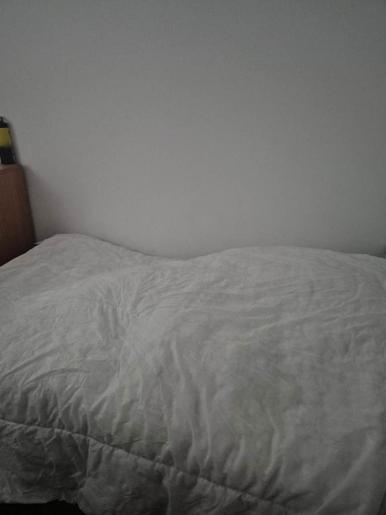 Single room available 