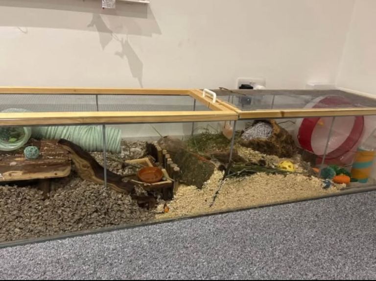 Small Animal Cage/Enclosure