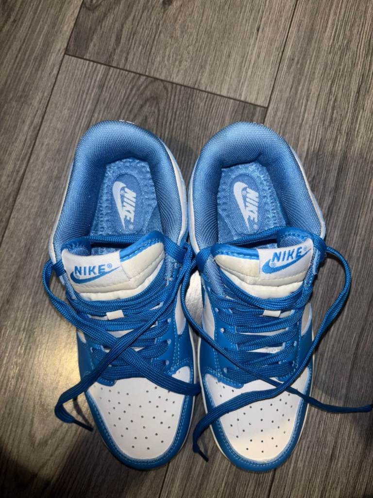 Blue/ White Nike Dunks Size 5.5