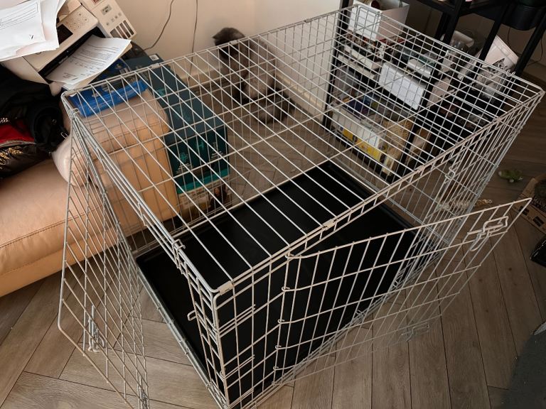 Dog cage size Large