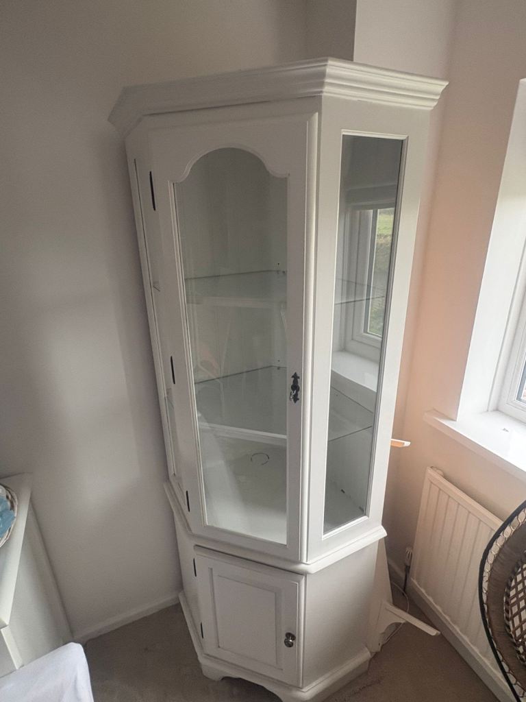 FREE Corner Cabinet with light