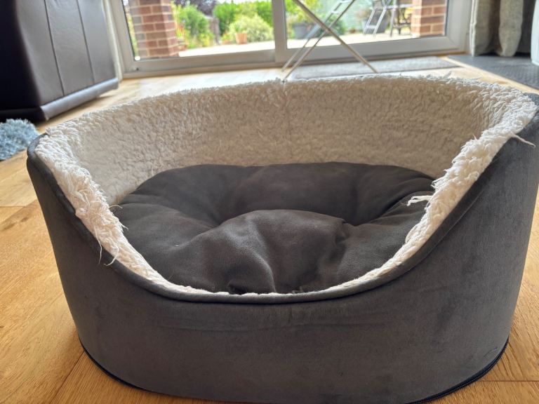 Small Padded Dog Bed
