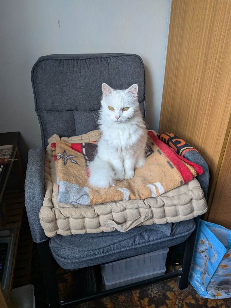Large room wanted 