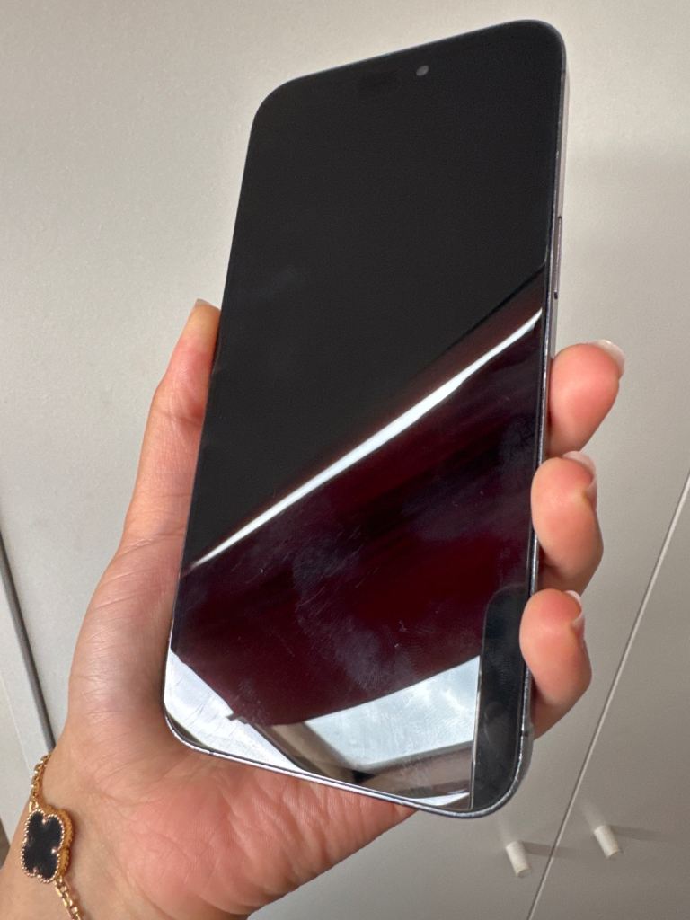 iPhone 14 Pro Max 