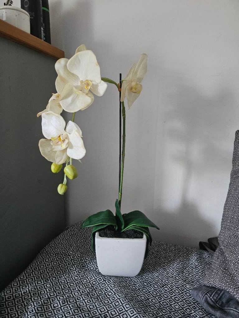 Artificial Orchid in White Pot 