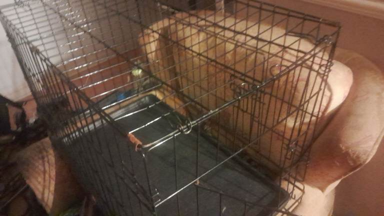 Medium size dog cage 