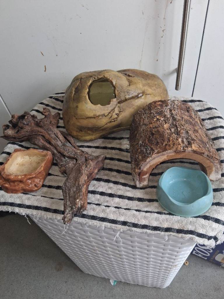 Vivarium accessories