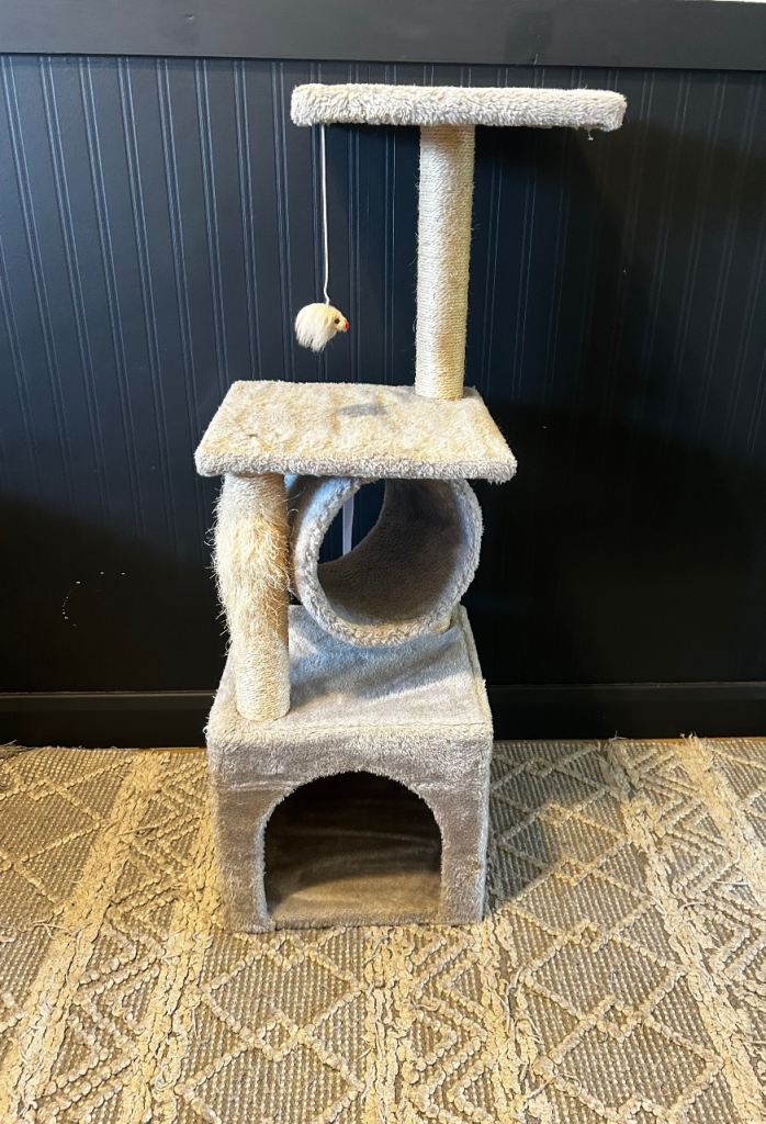 Cat scratch post 