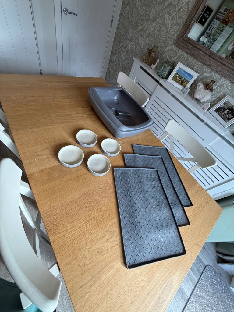 Cat Litter Tray, Mats x 2 and Bowls x 4