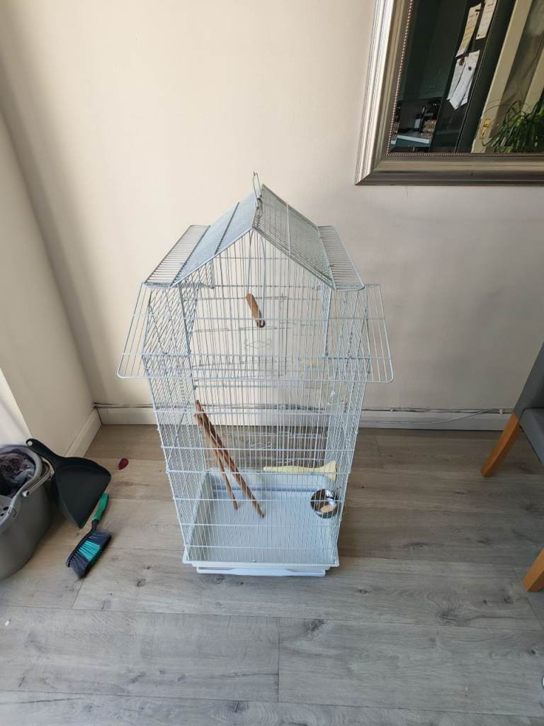 Bird budgie cage 