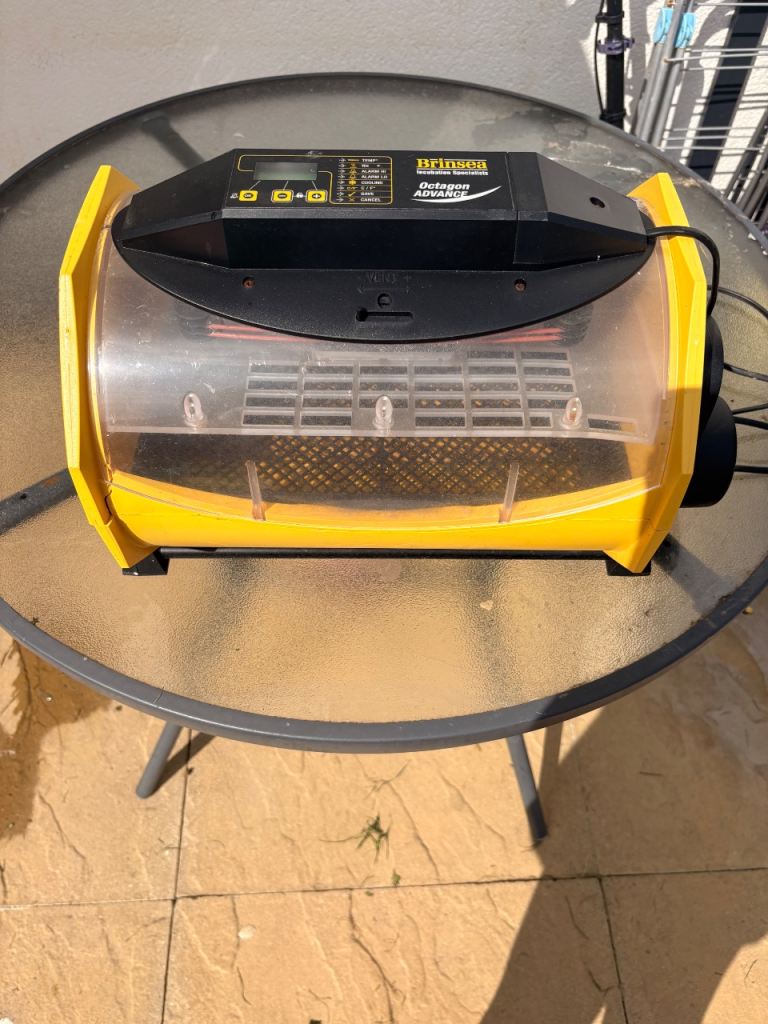 Egg incubator 