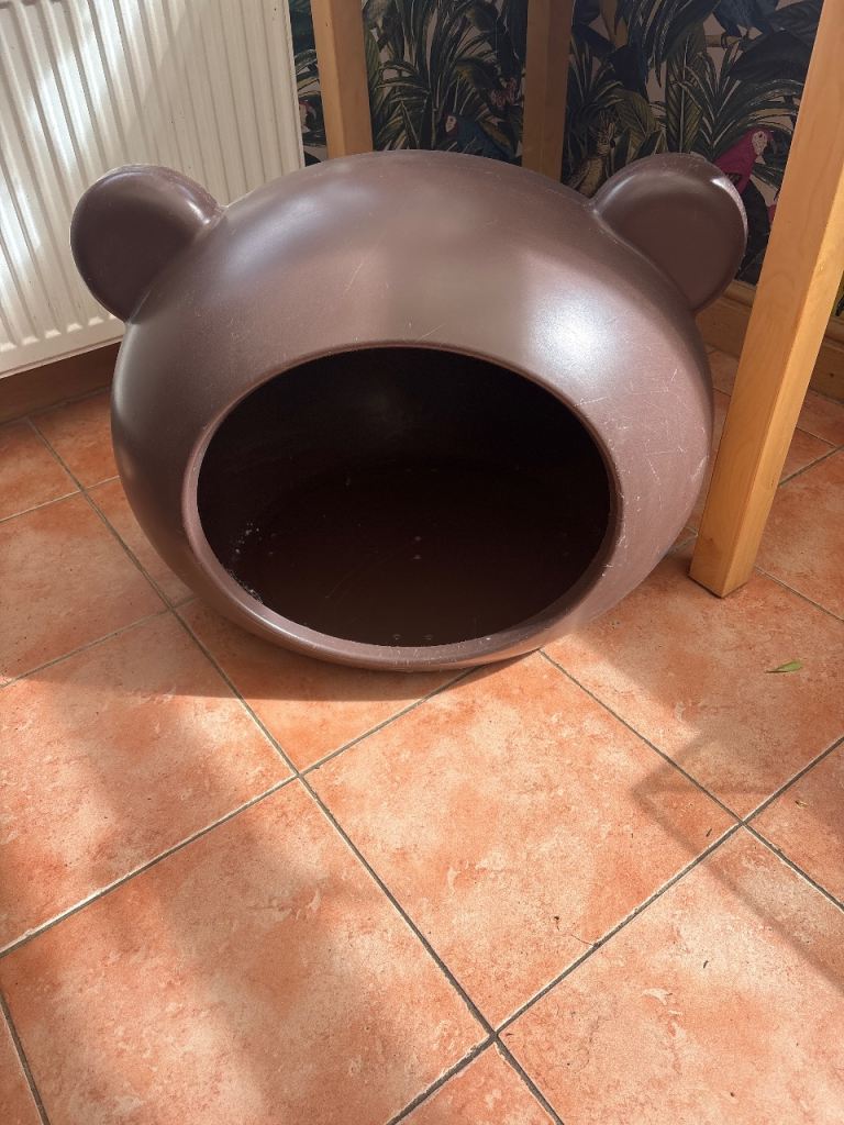 Large cat bed