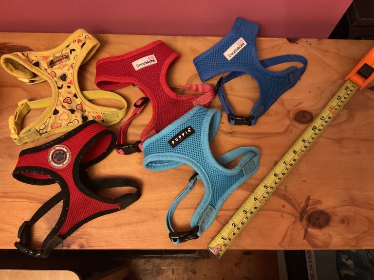 image for Small dog puppy harnesses and toy balls