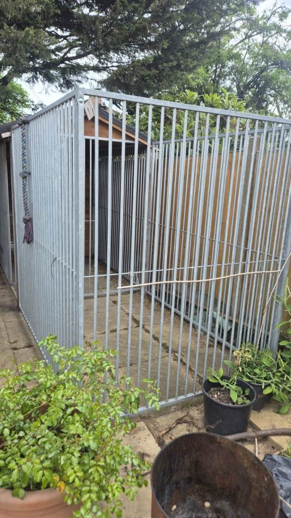 Outdoor Dog Kennel with Half roof and Half open 