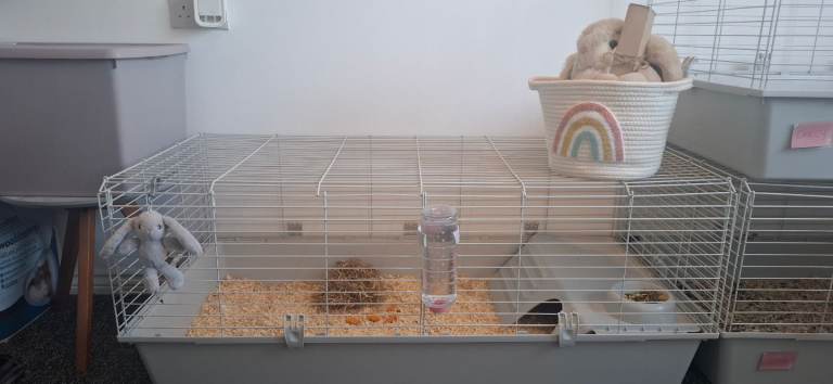 Rabbit/Guinea Pig Cage
