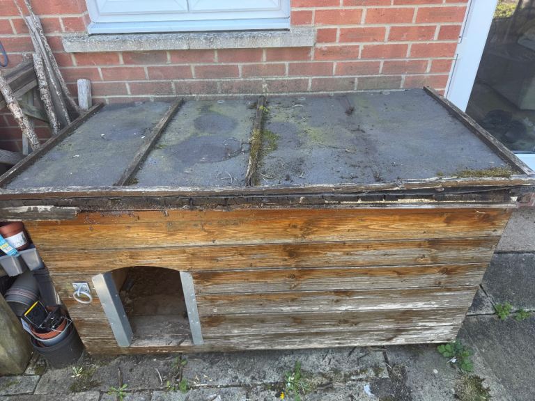 Used insulated dog kennel for medium size dog