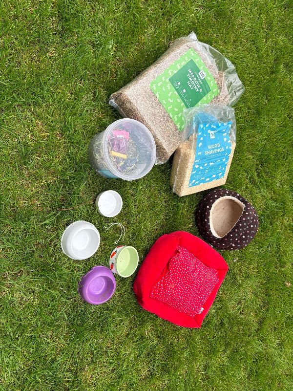 Guinea Pig accessories 