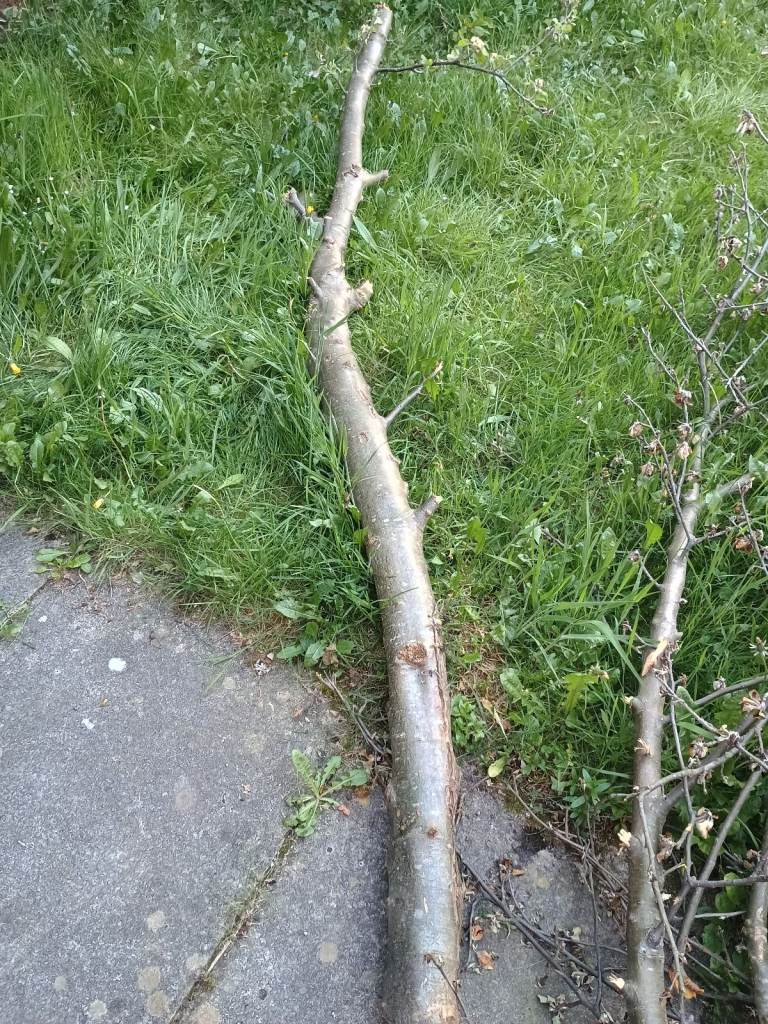 Logs plus smaller branches/kindling