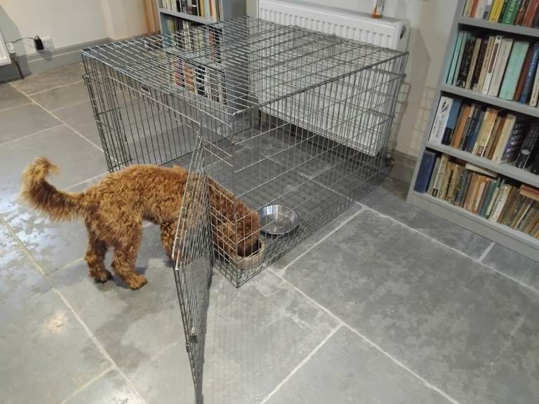 Large Dog Cage
