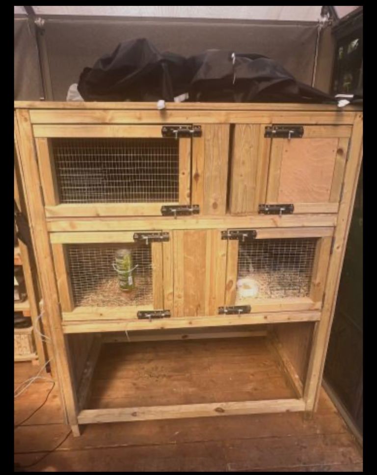 Rabbit/Guinea pig cage