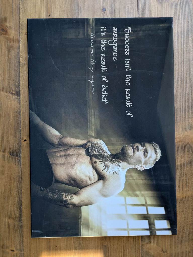 Conor Mcgregor Canvas Wall Art Picture Print