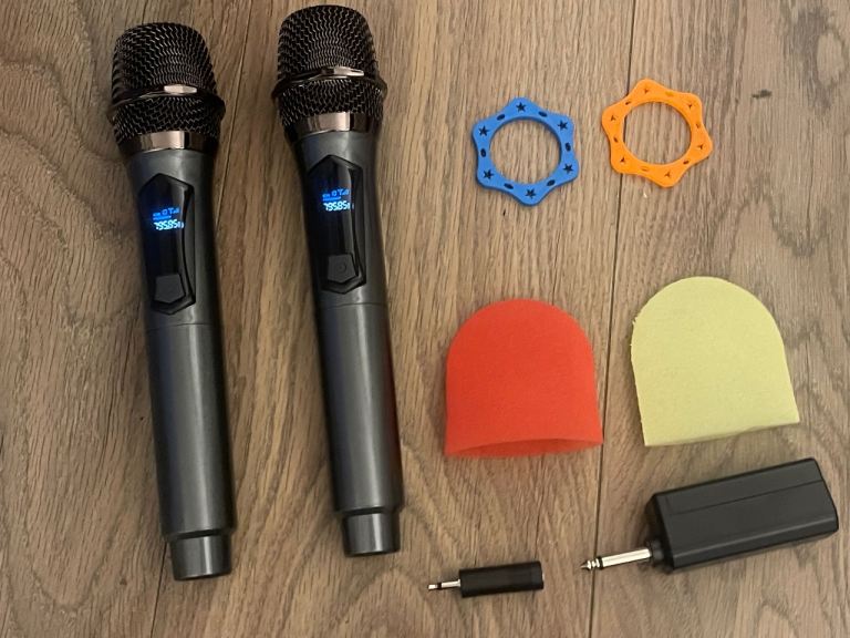 Professional Dynamic Wireless Microphone Set 