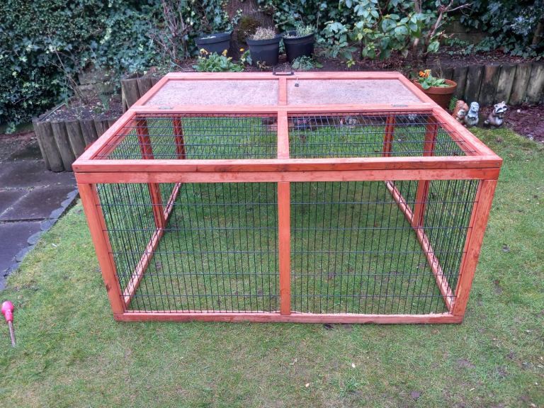 Outdoor Rabbit Run 