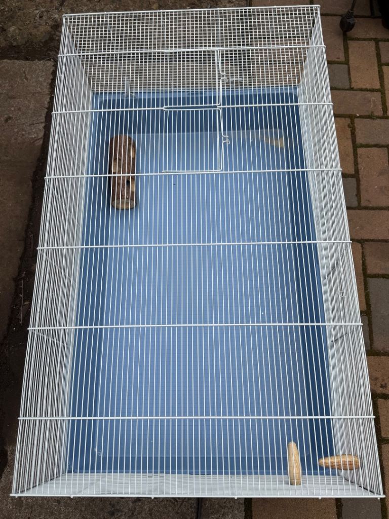 large hamster cage
