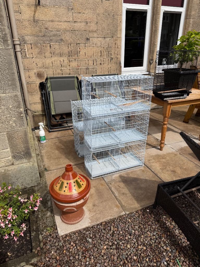 5 x Budgie Breeding Cages Bird Cage Canary