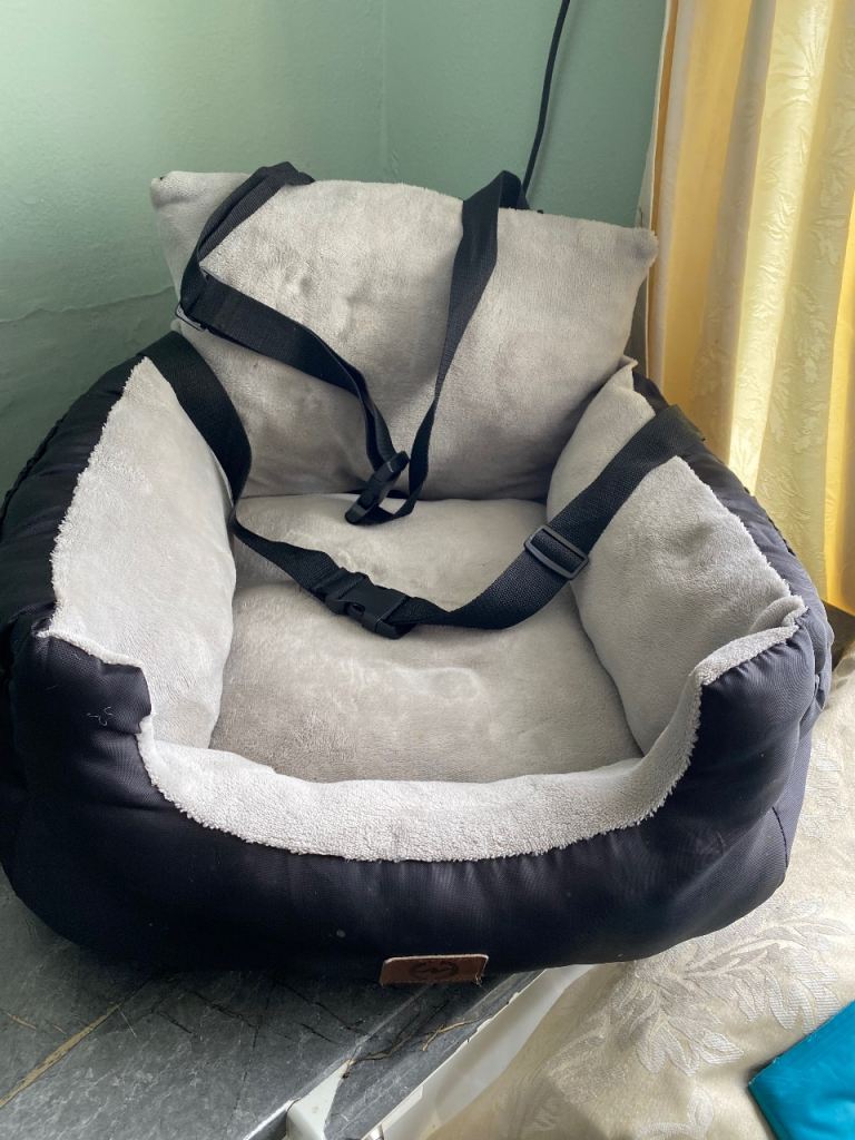 Dogs car seat