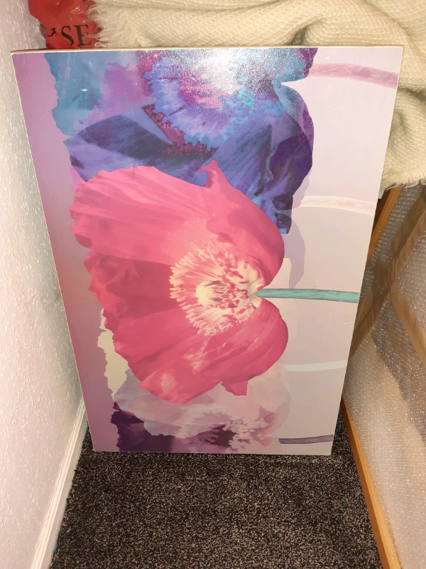 Canvas poppy print by Robert Mertons