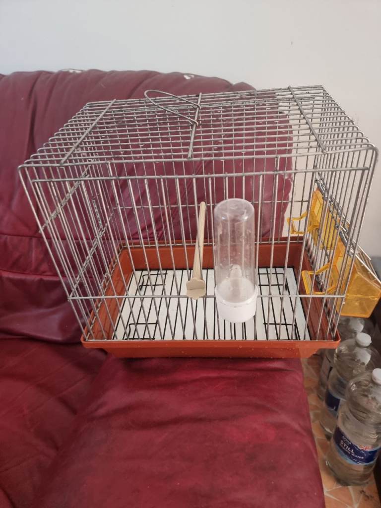 Bird cage + Accessories 