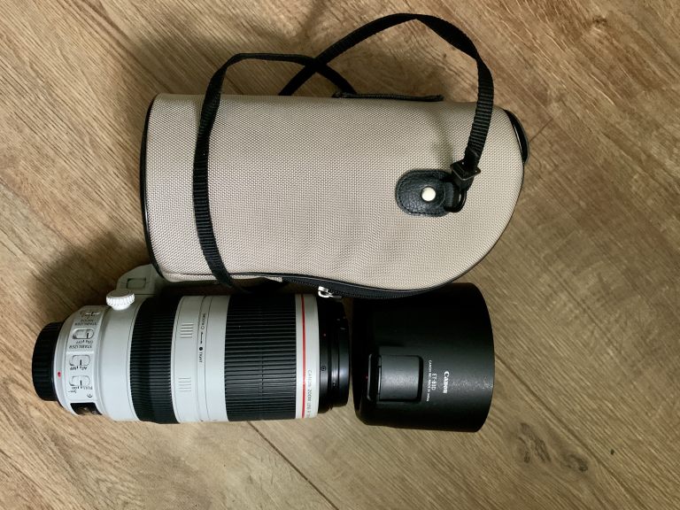 Canon EF 100-400mm mark II f/4 Lens 