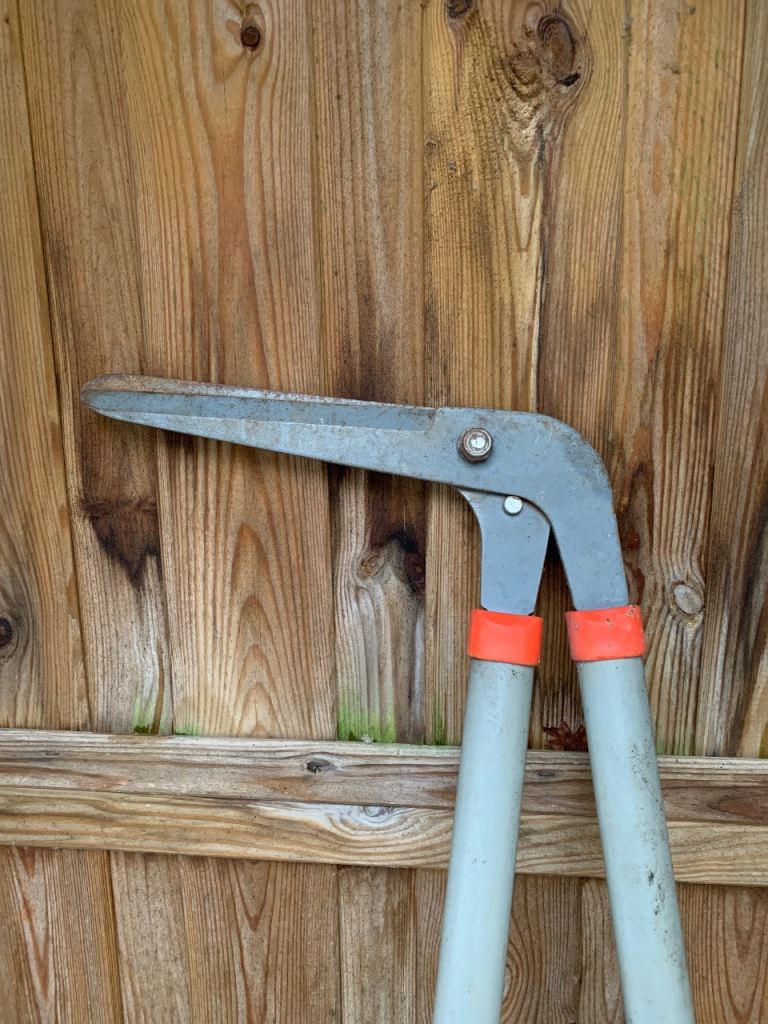 Garden and grass shears  