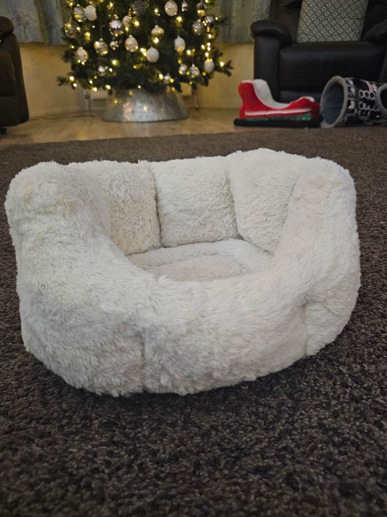 image for Kitten bed