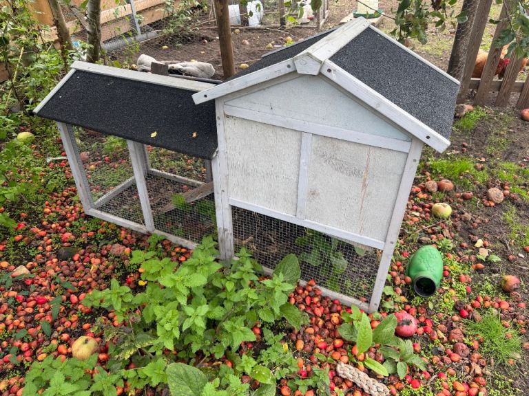 Rabbit Hutch