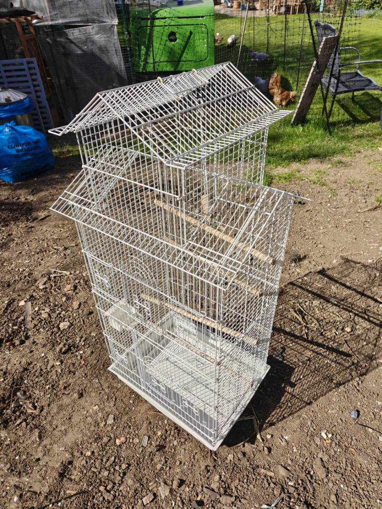 Large, tall bird cage for small birds white