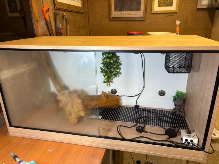 Large Vivarium 