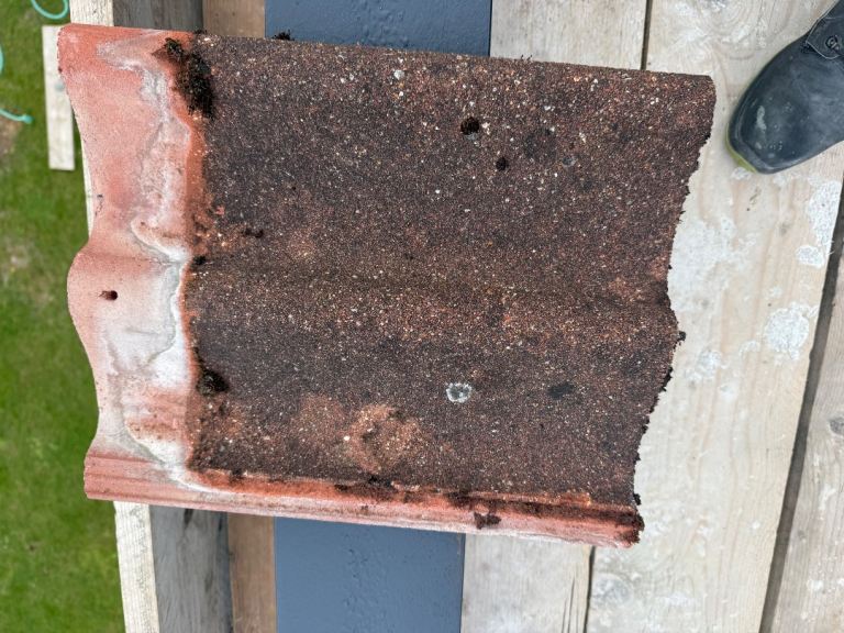 Roof tiles 