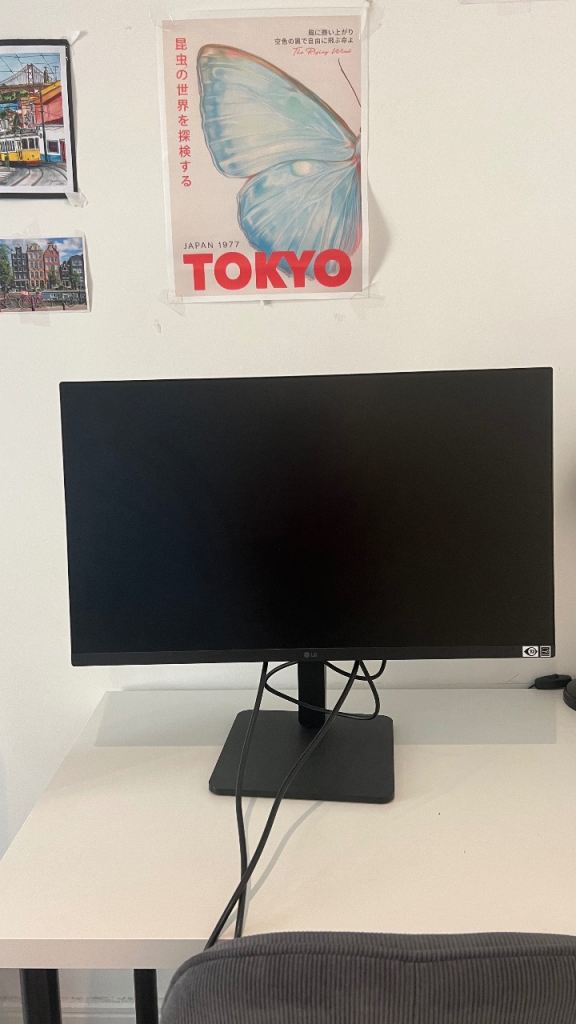 Premium LG 27” IPS Monitor – Great Deal!
