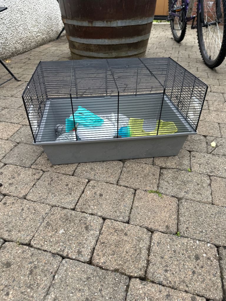 Hamster cage£20