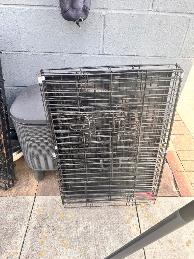 dog crate