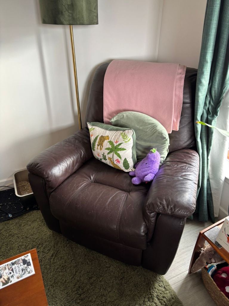 Brown Leather Recliner Armchair with USB Port