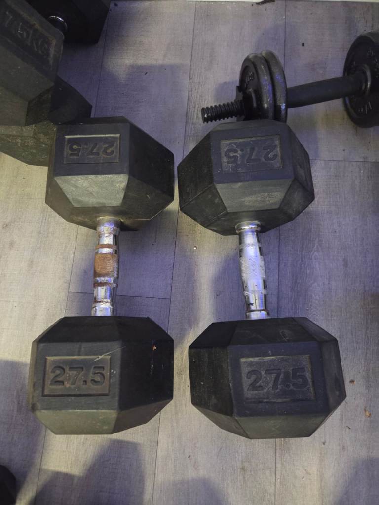 27.5kg dumbell