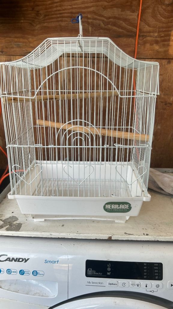 Small bird cage 