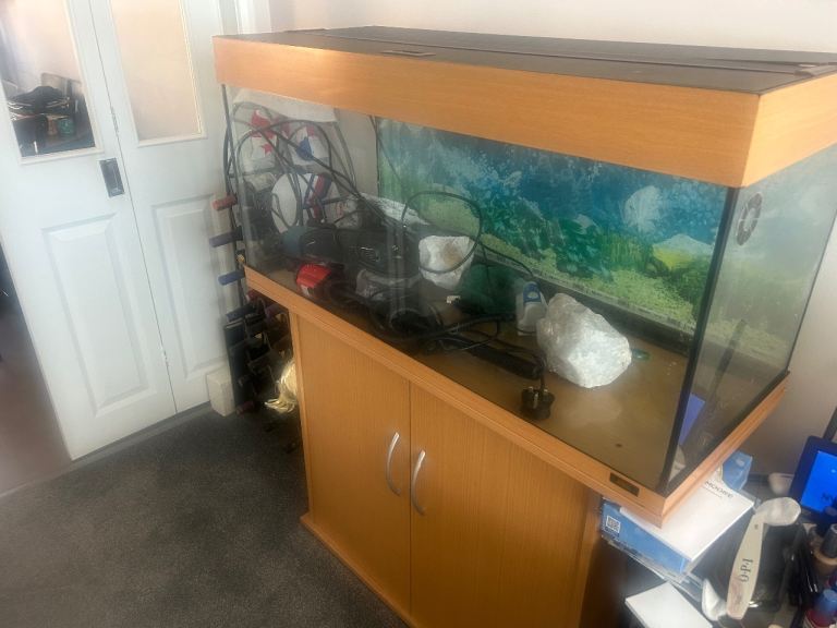 Tank, stand and accessories 
